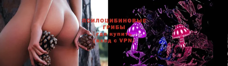 Галлюциногенные грибы Psilocybine cubensis  Ессентуки 